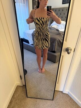 Beige and Black Zebra Mini Dress - Women